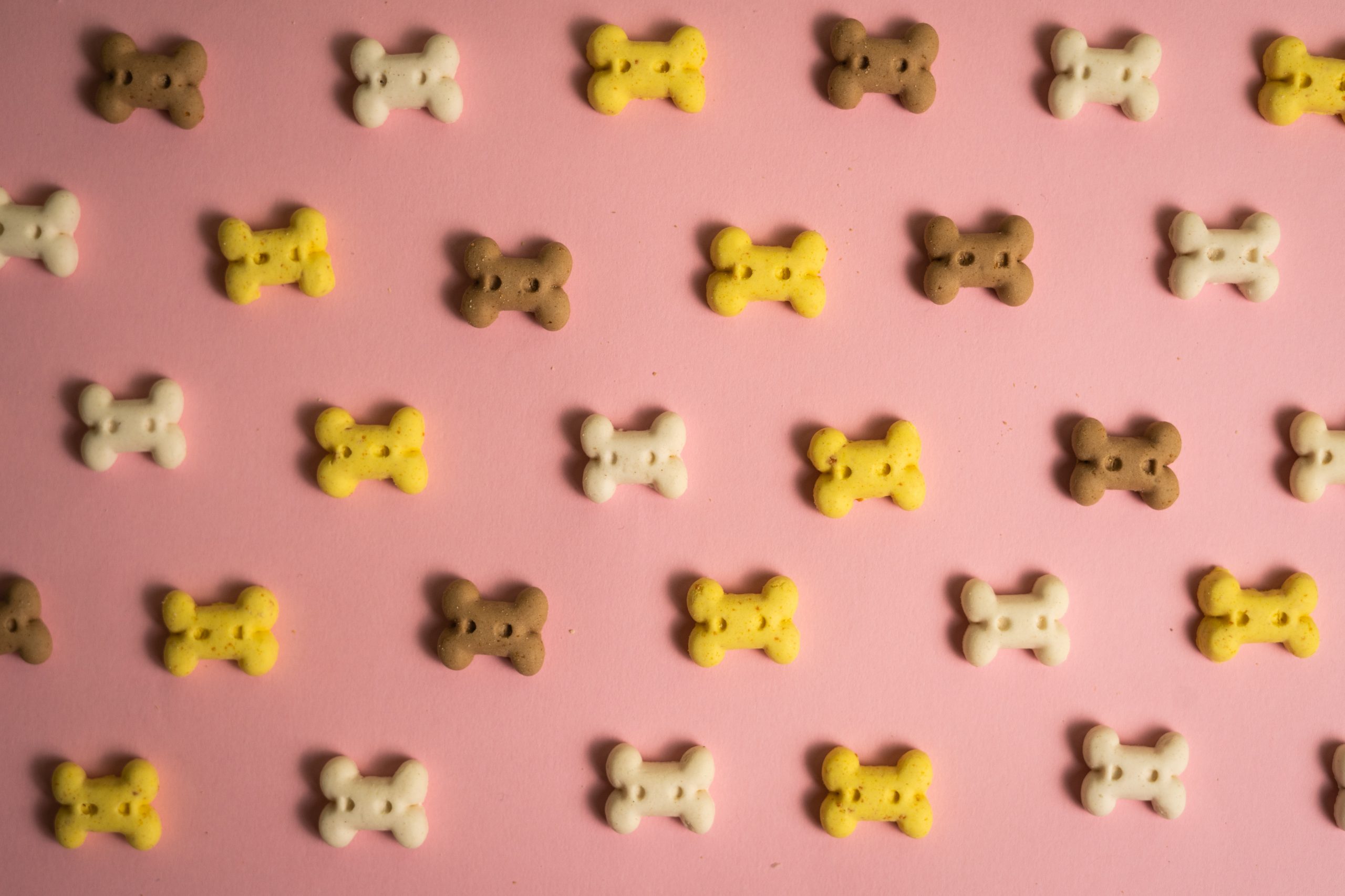 Deliciosas Galletas Crocantes de Hígado y Zanahoria: ¡Un Festín para Tu Mascota!
